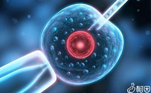 王建国